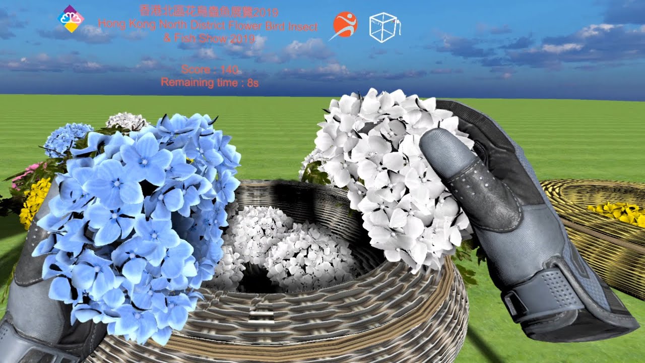 Sort the Hydrangeas YouTube thumbnail